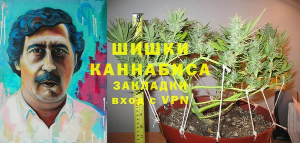 ешки Алзамай