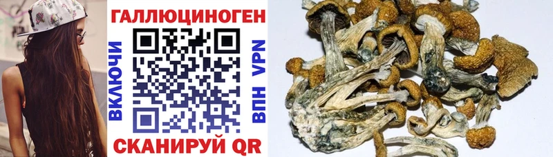 Галлюциногенные грибы ЛСД  Куртамыш 